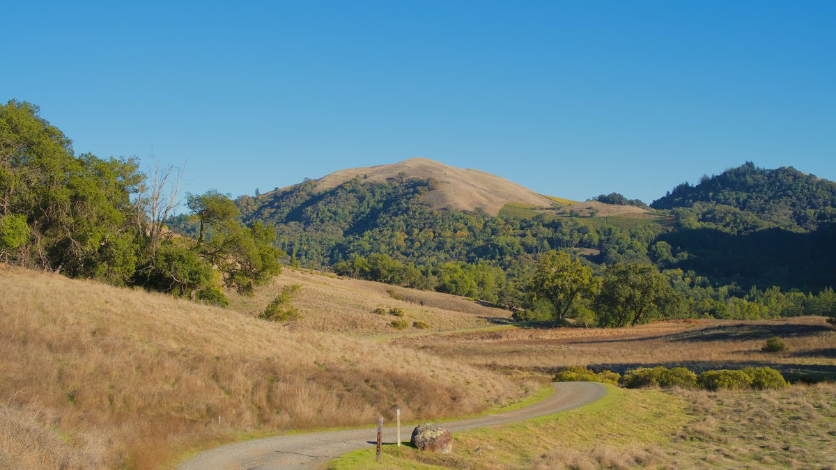 An empty two lane road running through golden California hills