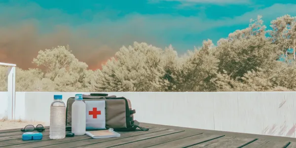 Wildfire preparedness kit with essentials.