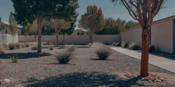 A front yard with fire wise landscaping featuring gravel, fire-resistant plants, and smart spacing.